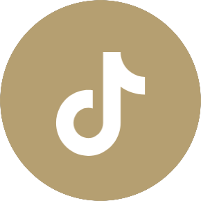Tiktok Icon