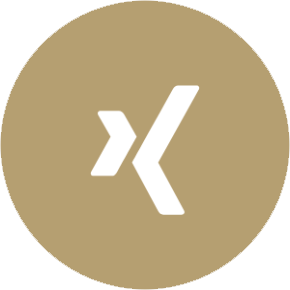 Xing Icon